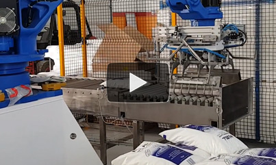 Bag Palletizing Robot