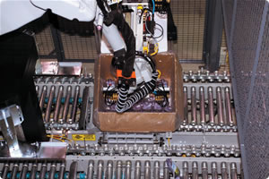 Motoman Robot Case Packing