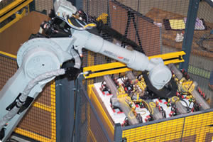Motoman Robot Handling and Case Packing