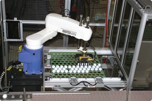 Motoman Robot Handling and Tray Packing